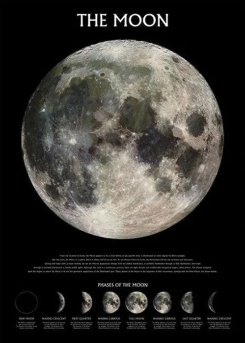 Science – Imaginus Posters
