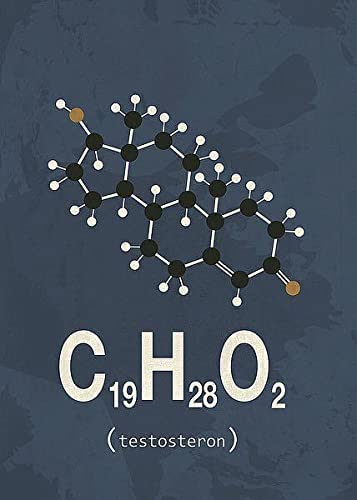 Testosterone Poster Testosterone Molecule - Chemistry Poster (11 x 14 inches) – Imaginus ...