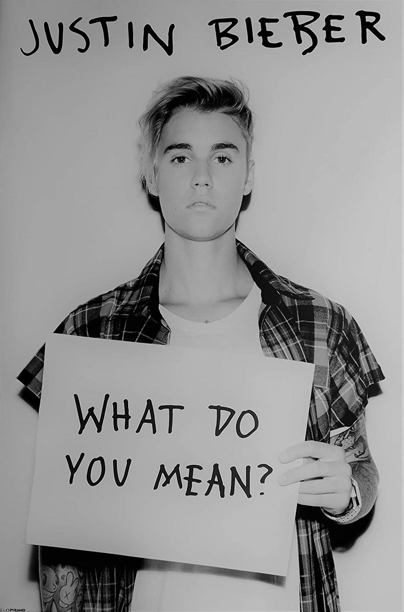 Justin Bieber - What Do You Mean - Pop Music Poster (24 x 36 inches ...