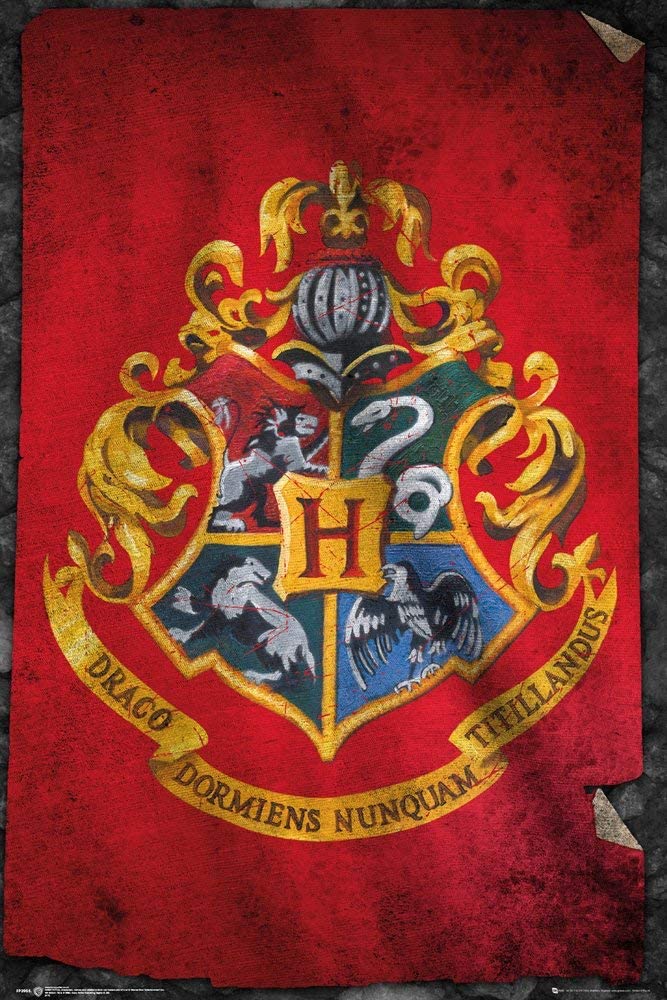 Harry Potter - Drapeau de Poudlard - Affiche de film (24 x 36 pouces) –  Imaginus Posters